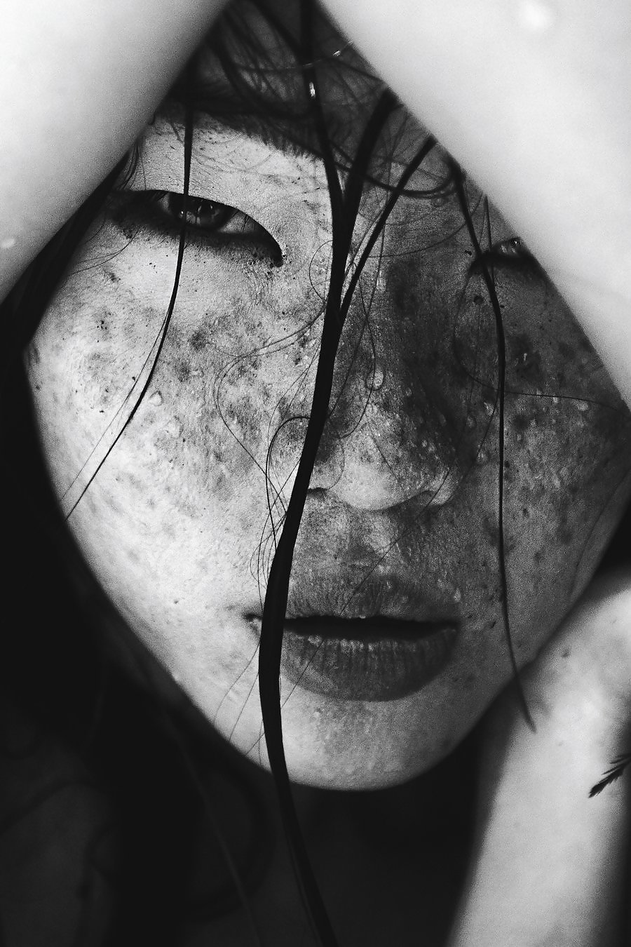 M o d e l
 #13236320