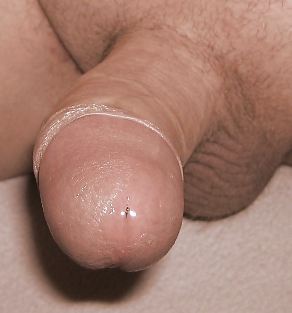 Rápido fertig....
 #19483412