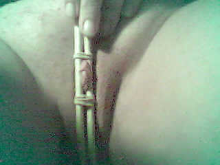 Clitsticks #5351179
