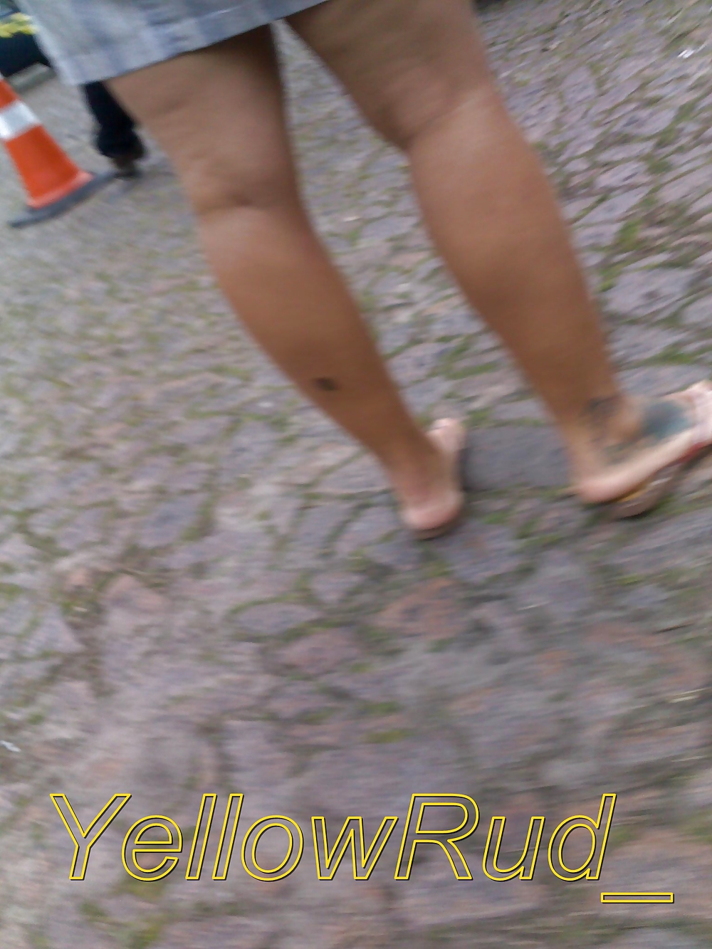 Coxuda passeando - br 
 #21502710