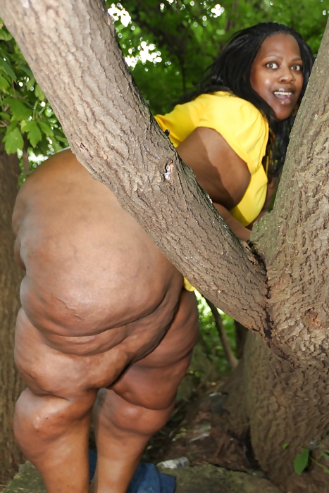 BIG BITCH..!! #4059631