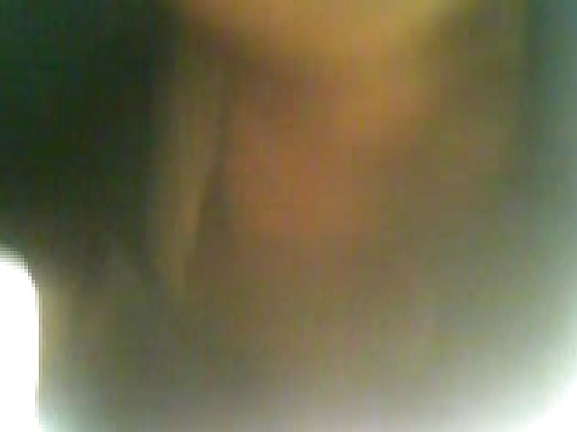 Turkish Tevzem Dispatch 3 #1726592