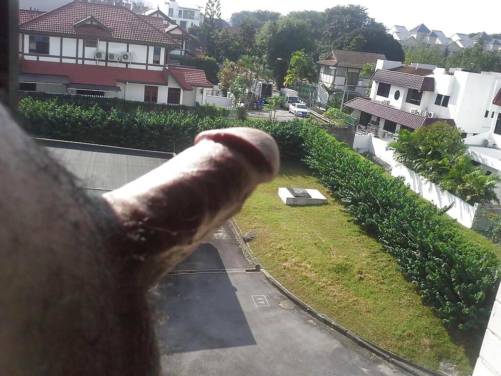 ホビー・ファンタスティック2
 #19979419