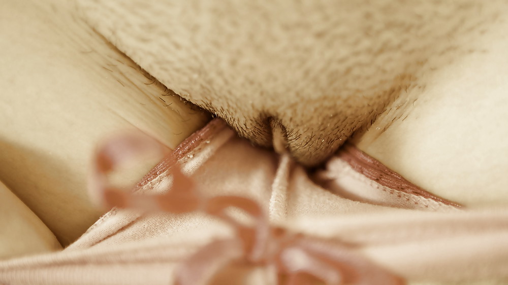 Perfect bushy pussies #9452696