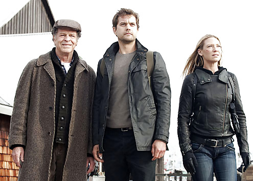 ¡Anna torv es una causa reconocida de erecciones duras! 
 #16643754
