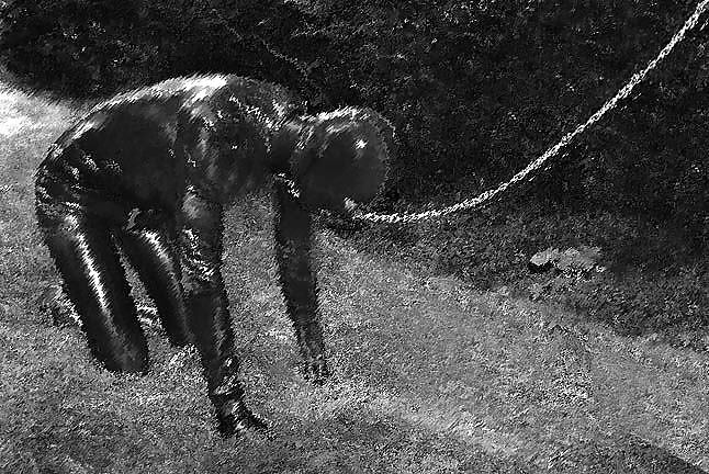 My mood at the present time #9309589