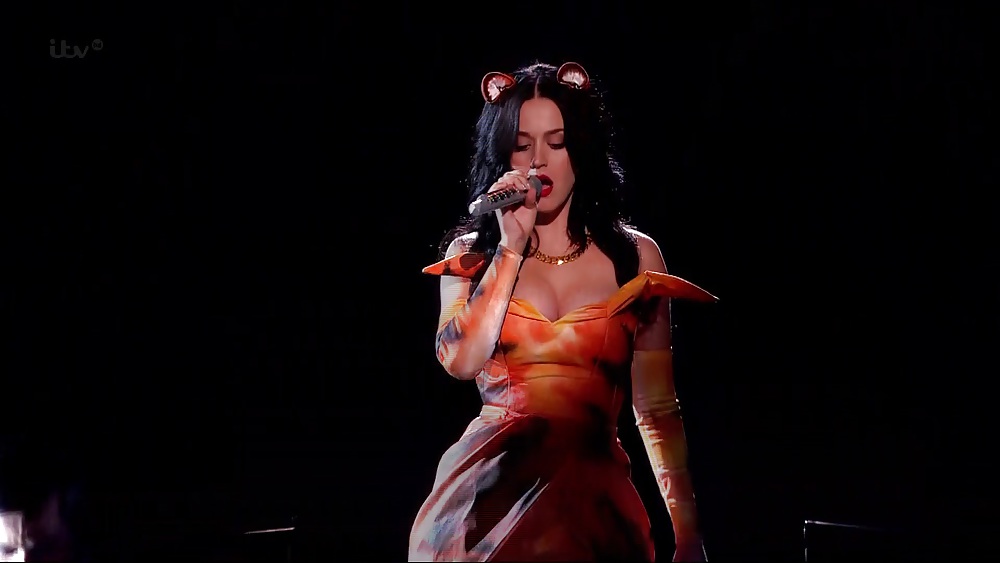 Katy perry, tiger outfit #22083701