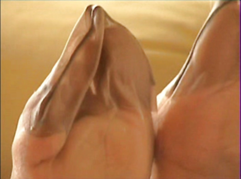 Uncommon Nylon #9631267