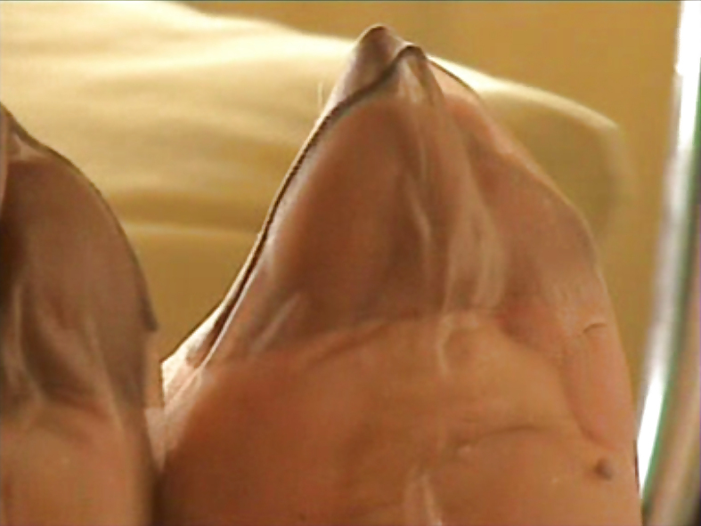 Uncommon Nylon #9631298