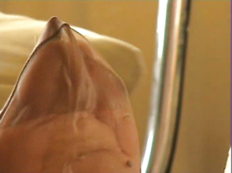 Uncommon Nylon #9631313