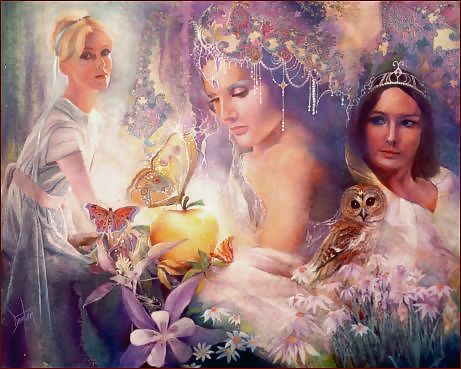 Aphrodite #13621628
