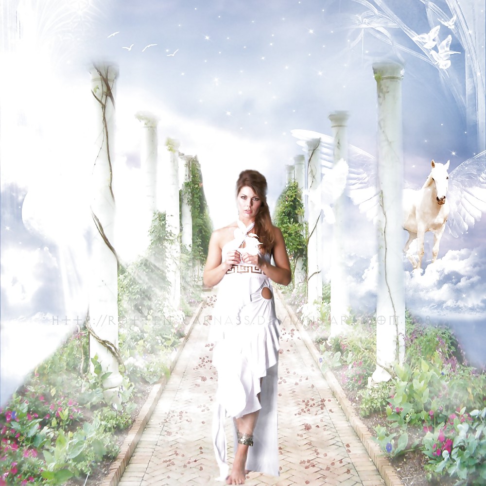 Aphrodite #13621648