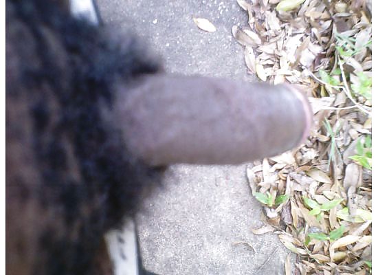 SUCK DADDY DICK #4308315