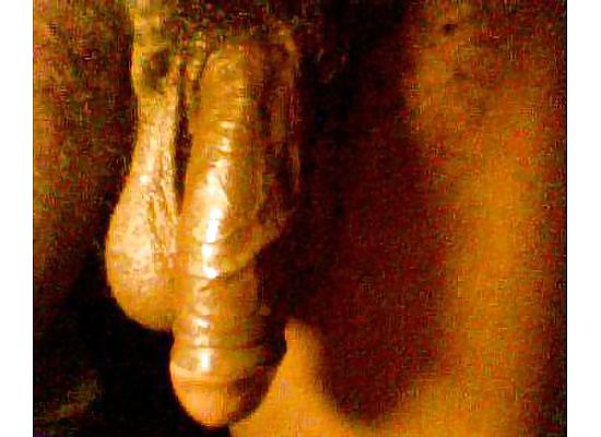 SUCK DADDY DICK #4308327