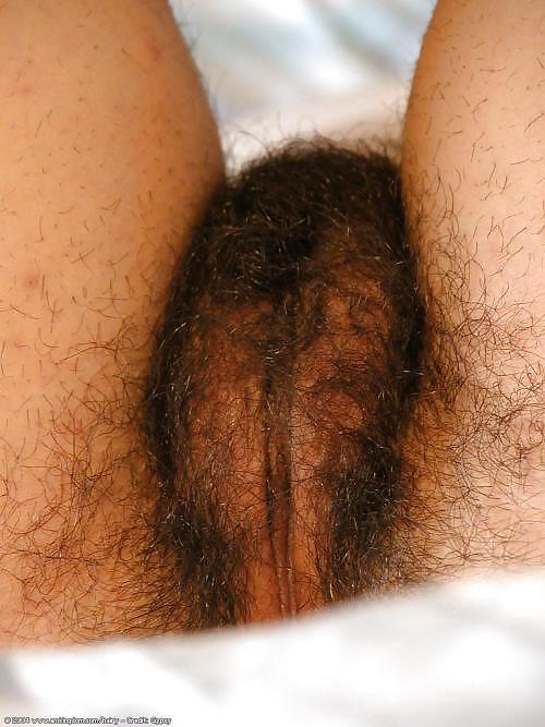 J'adore les femmes ayant une belle toison 32 #4566213
