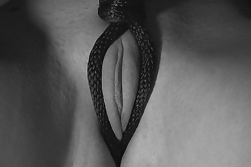 Slave #9454243