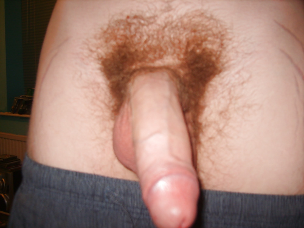 Hairy and horny cock #2223745