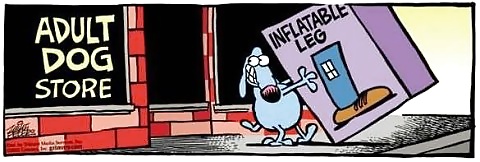 Lustige Sachen #14699757