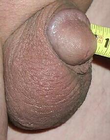 My Tiny Little Cock...tell me what you think #3338178