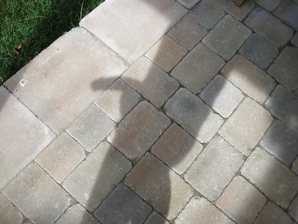 Einen Schatten Zu Werfen - Hahn Schatten Auf Meiner Terrasse #10377423