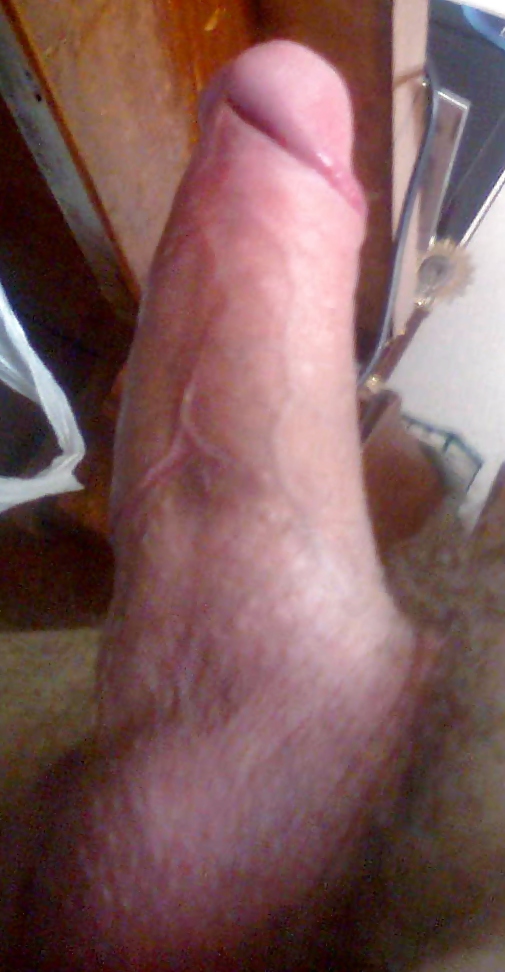 私の写真
 #15144223