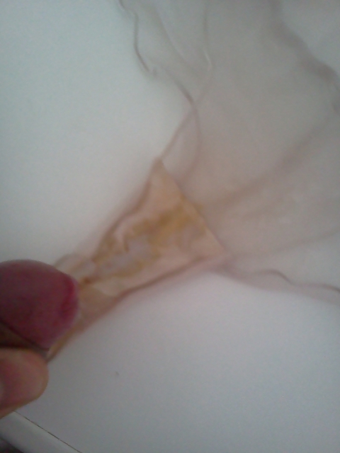 パンティの上に乗っかっている人たちの話 2
 #13238473