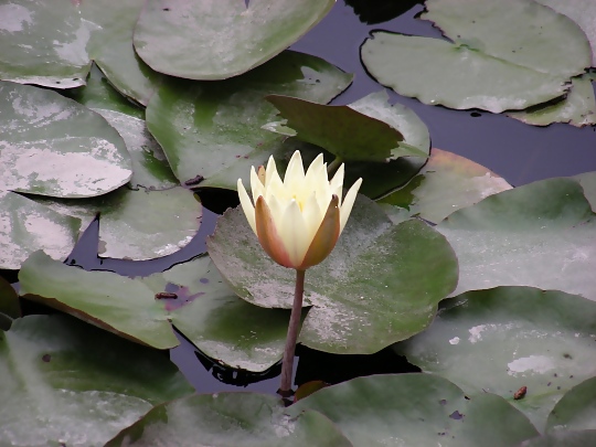 あなたの心を空にする
 #11755450