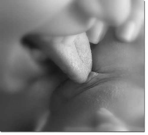 Found: licks1 #3681505