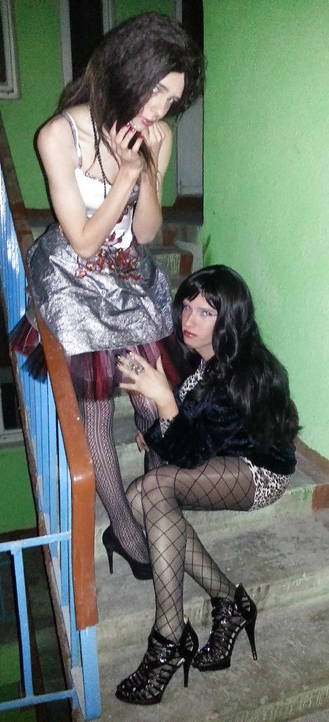 Travestis y travestis 24.12.2012
 #15338888