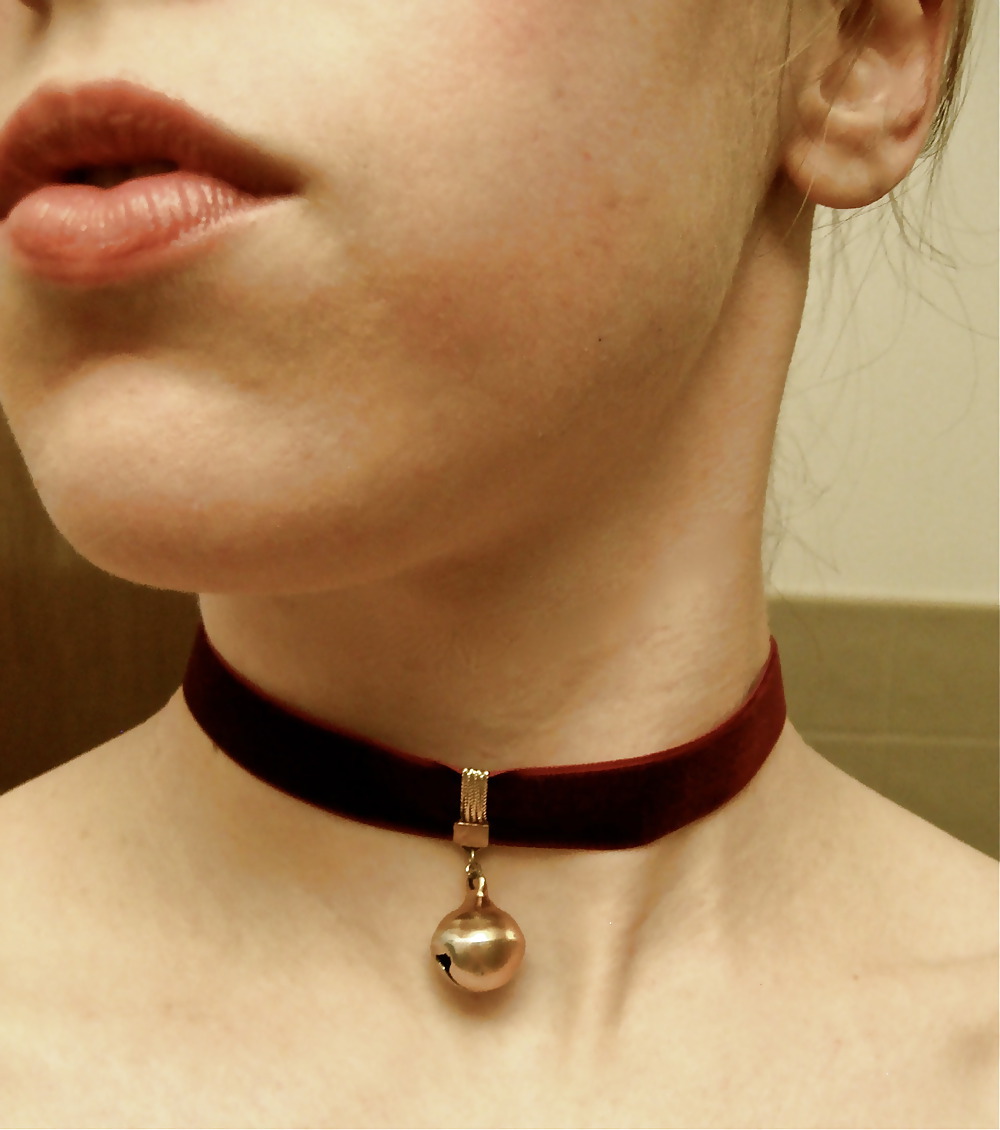 Collared 26! #11051355