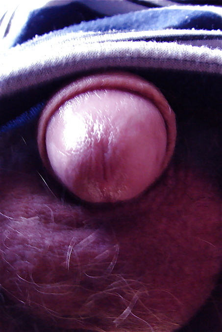 Sushicook's dickel in purple #4593591