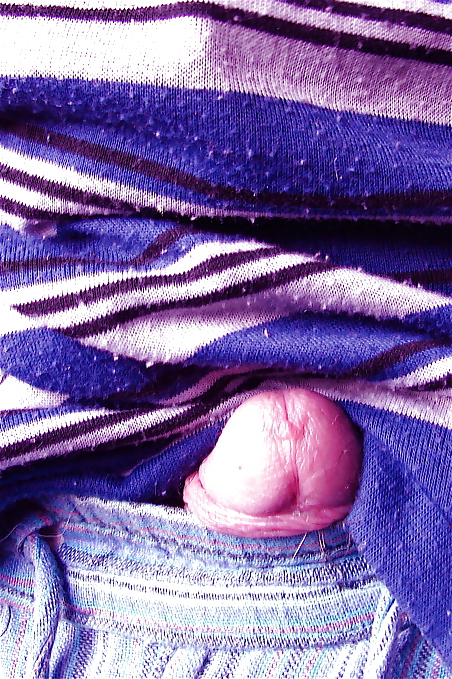 Sushicook's dickel in purple #4593602