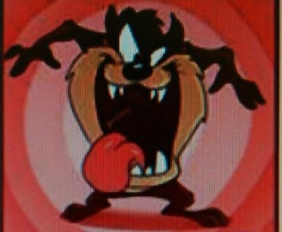 Taz Jr.