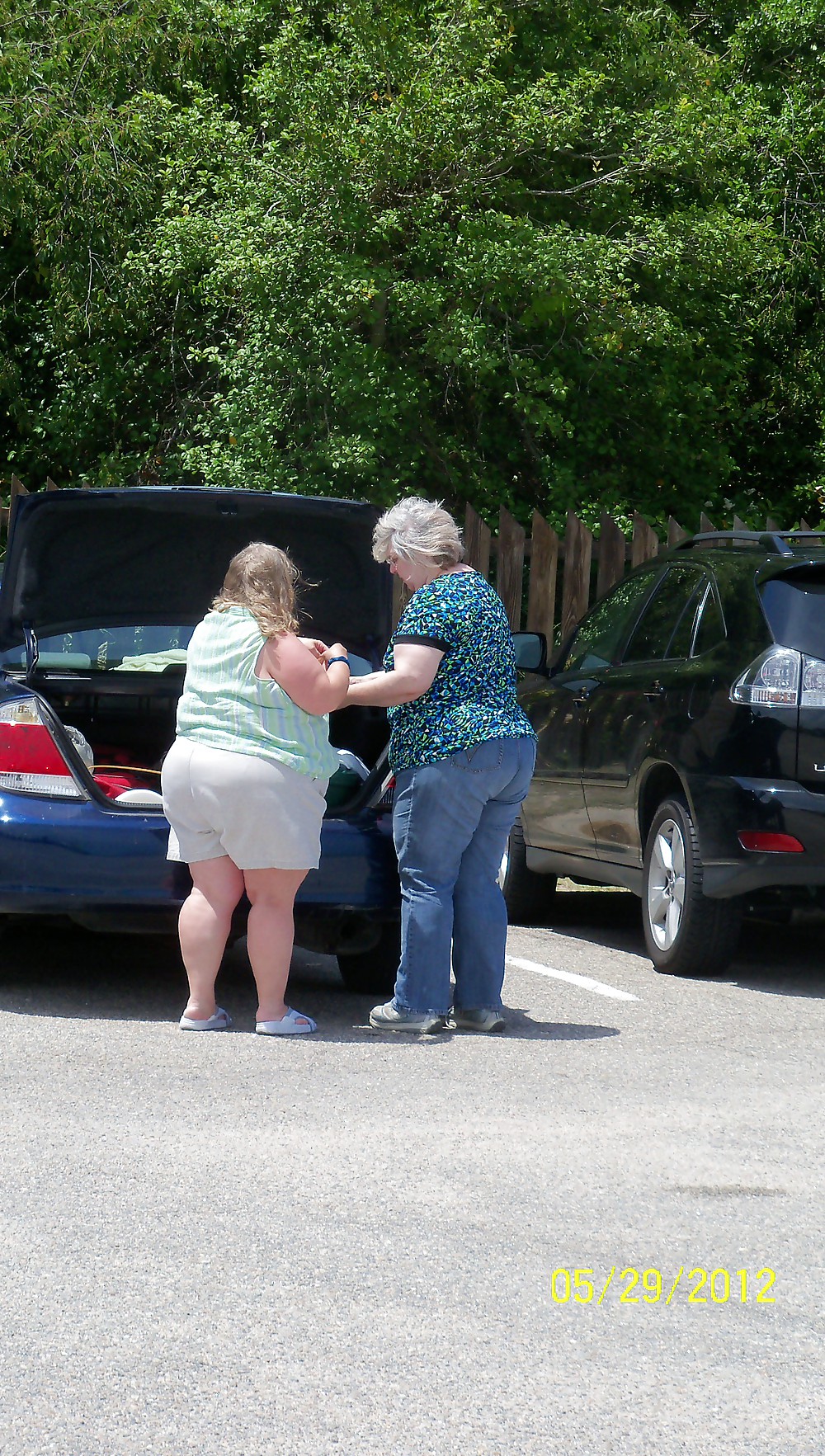 Paunchy Seashore Butts #9400954