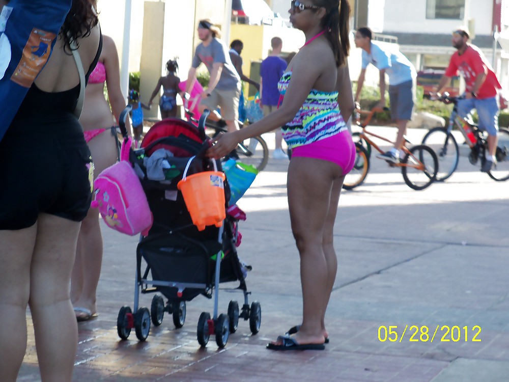 Paunchy Seashore Butts #9401034