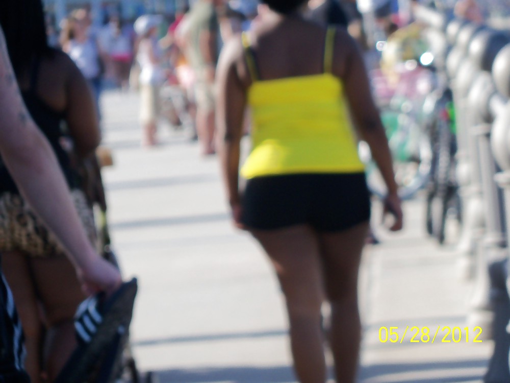 Paunchy Seashore Butts #9401050