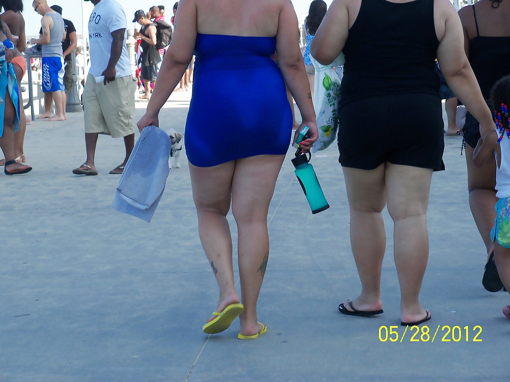 Paunchy Seashore Butts #9401057