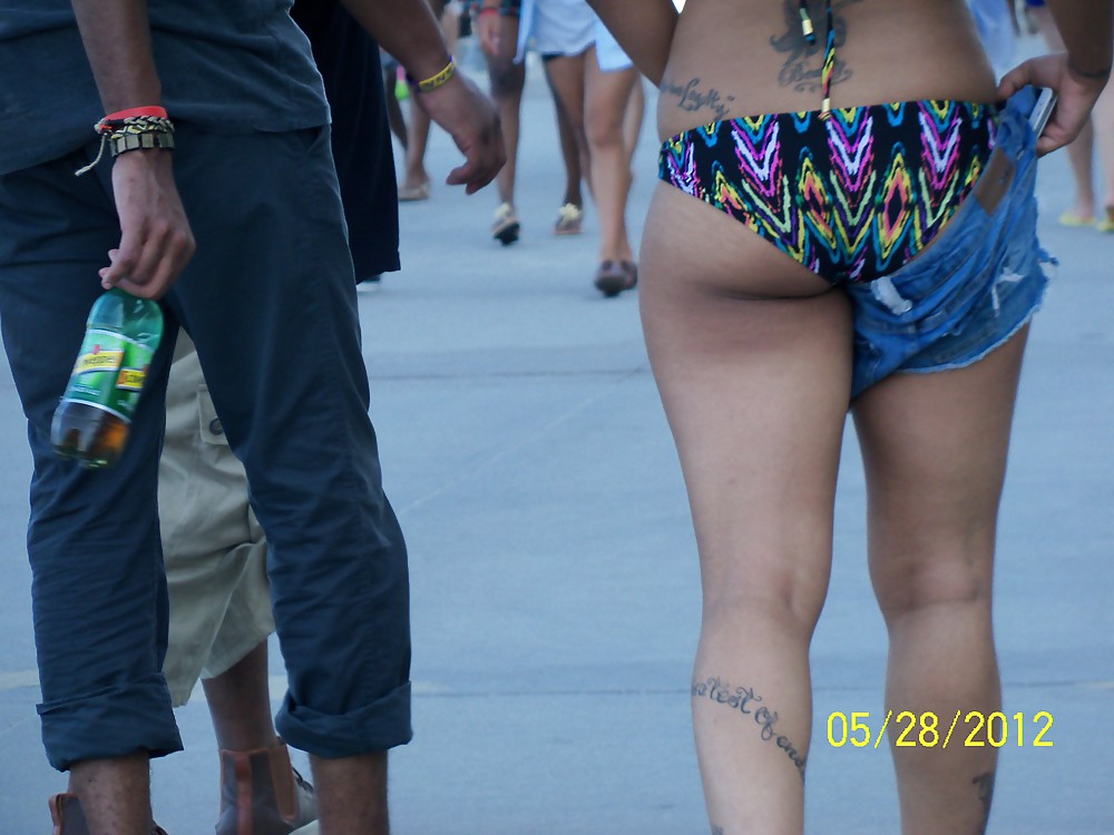 Paunchy Seashore Butts #9401073