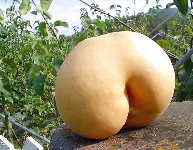 Obtener travieso
 #6909431