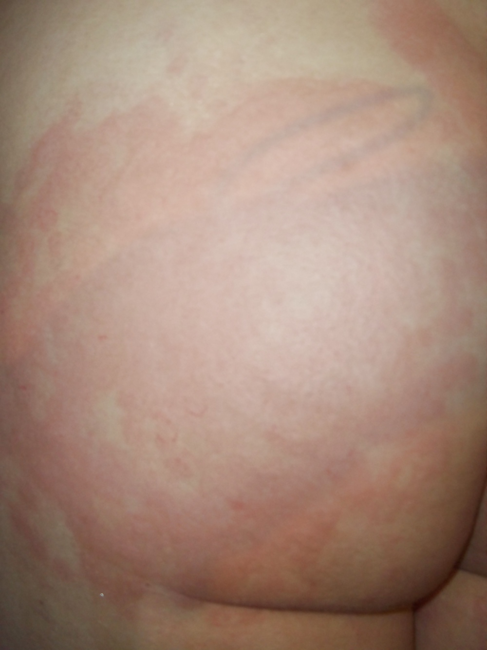 ¡Nuevos!
 #17613047