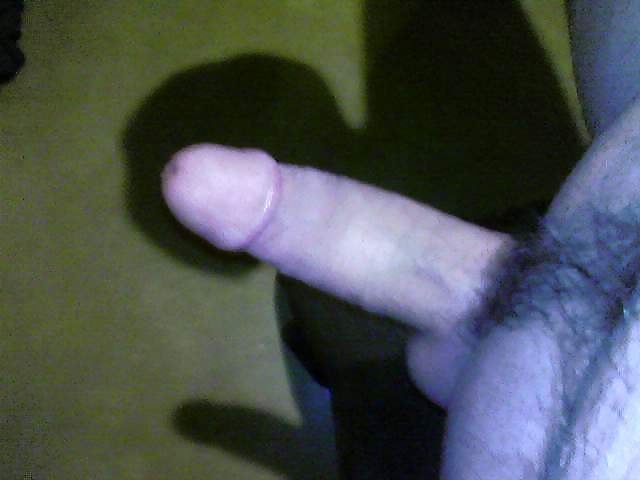 Cock pics #2222860