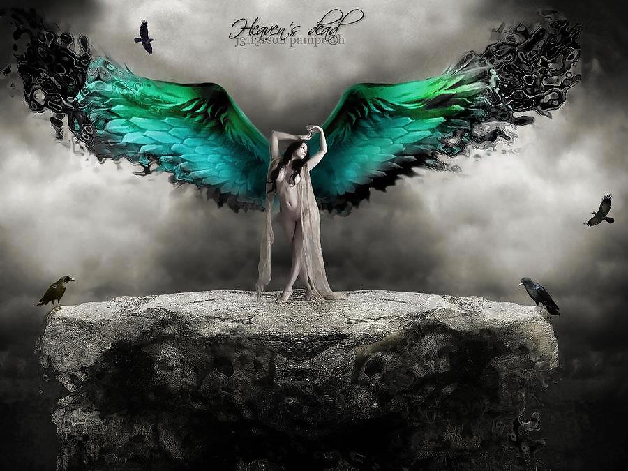 Fallen From Grace. )o( #16160279