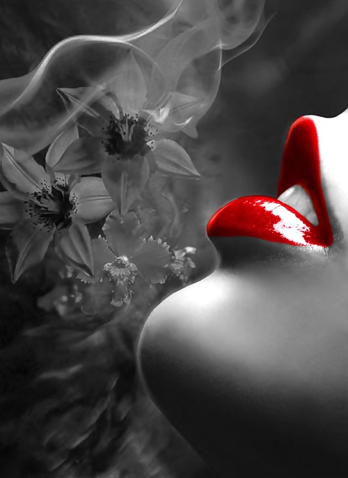 Extra Edition touch off Color! #21266391