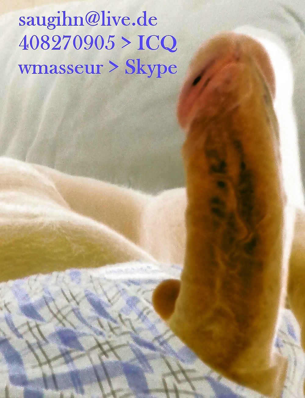 Schwanz aus hannover icq skype msn
 #1085565