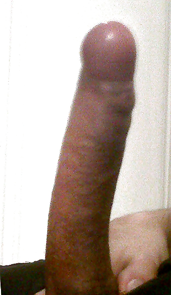 My BIG white DICK ( about 8 inches ) #10489141