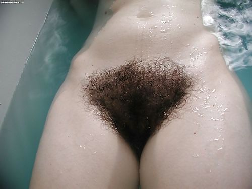 Hairy Gallery III #18329506