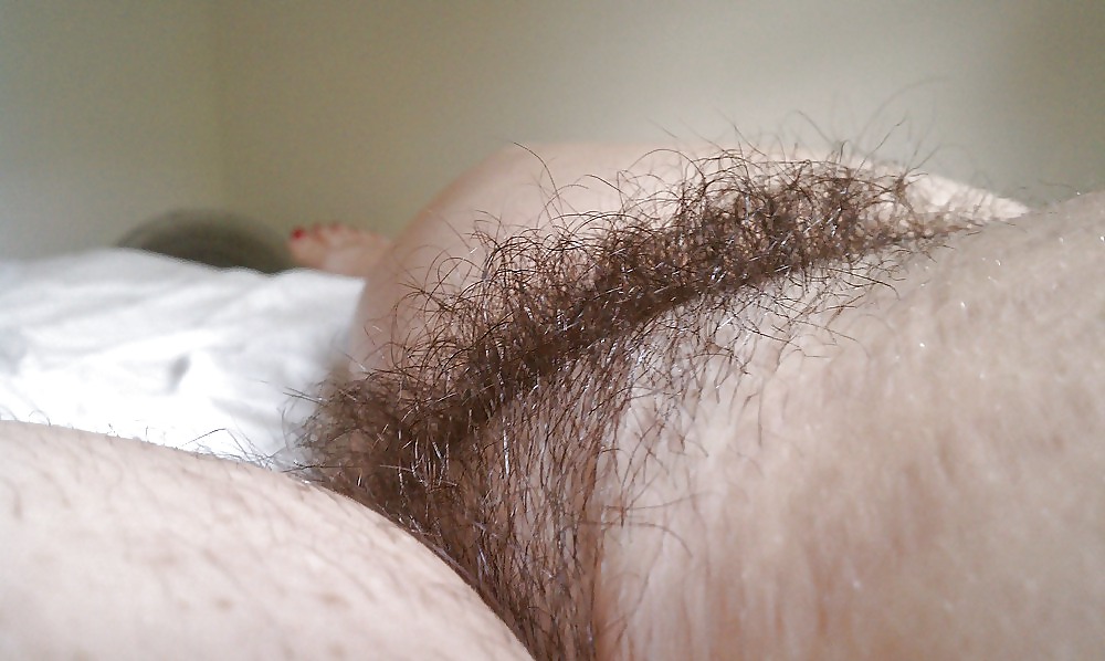 Hairy Gallery III #18330016