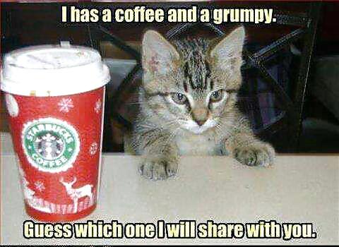 The Elixir of Life #13089328