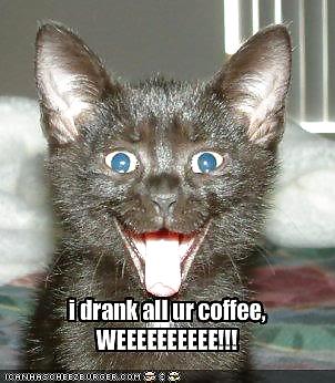 The Elixir of Life #13089444