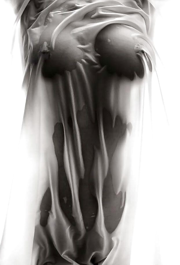 美しく濡れたTシャツのベイビーたち 3 by troc
 #15692915